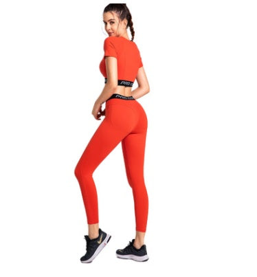 Gym running tights P-68